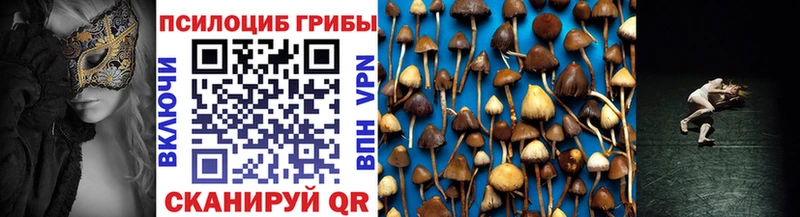 Псилоцибиновые грибы Cubensis  купить наркотики цена  дарк нет официальный сайт  Талдом 